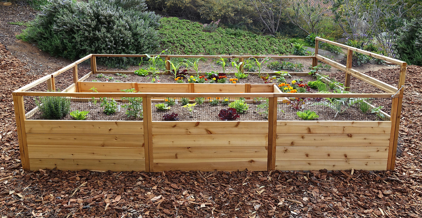 Vegetable Garden Kit For Beginners the hobby