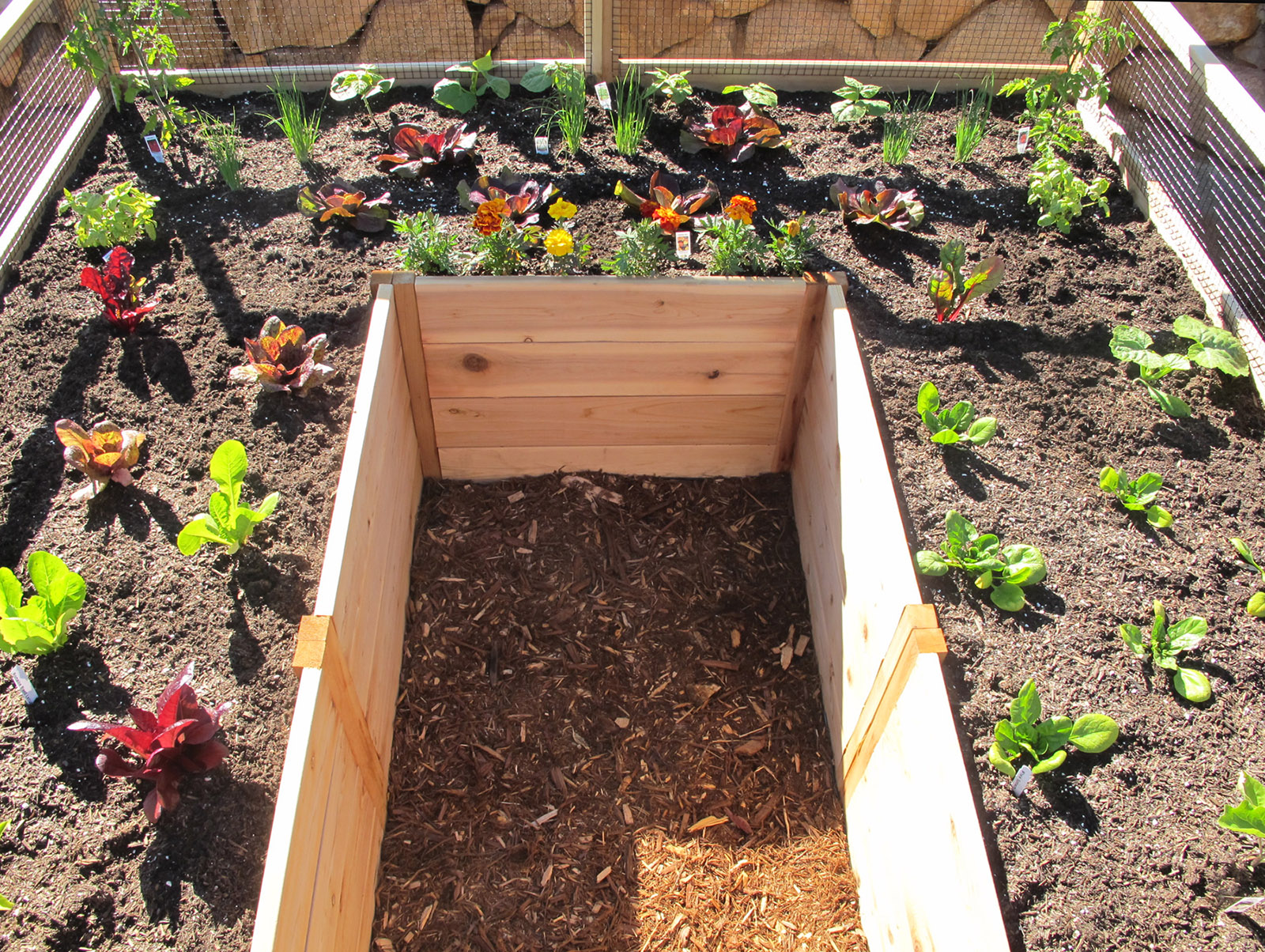 8’x8′ Complete Vegetable Garden Kit Gardens To Gro