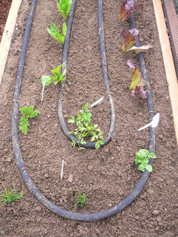 8 X12 Just Add Lumber Vegetable Garden Kit Gardens To Gro Just Add Lumber Vegetable Garden Kit, Deck Vegetable Garden Kit