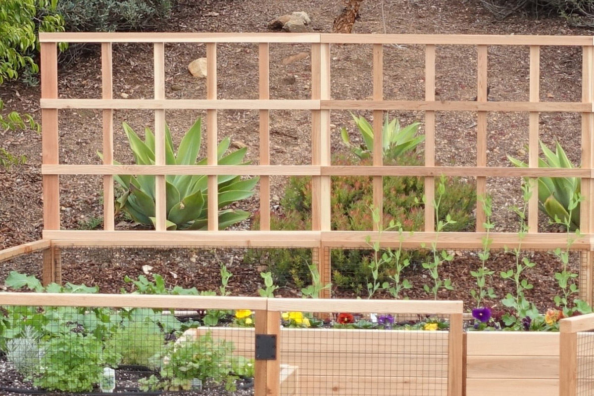 8′ Lattice Trellis Gardens To Gro