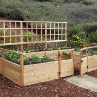 12' Lattice Trellis