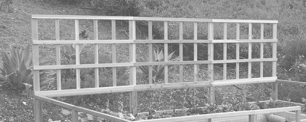 12' Lattice Trellis - Image 2