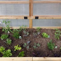 3'x6' Convertible Raised Garden Bed - Image 13