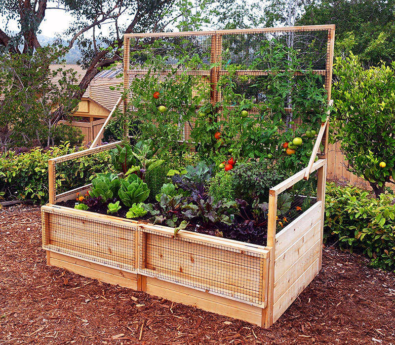 3'x6' Convertible Raised Garden Bed with Removable Greenhouse Panels