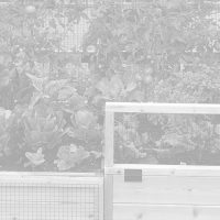 3'x6' Convertible Raised Garden Bed - Image 12