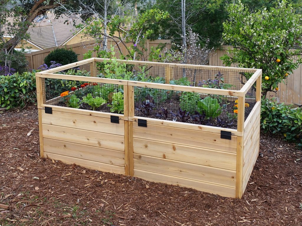 Raised Garden Beds – Gardens To Gro