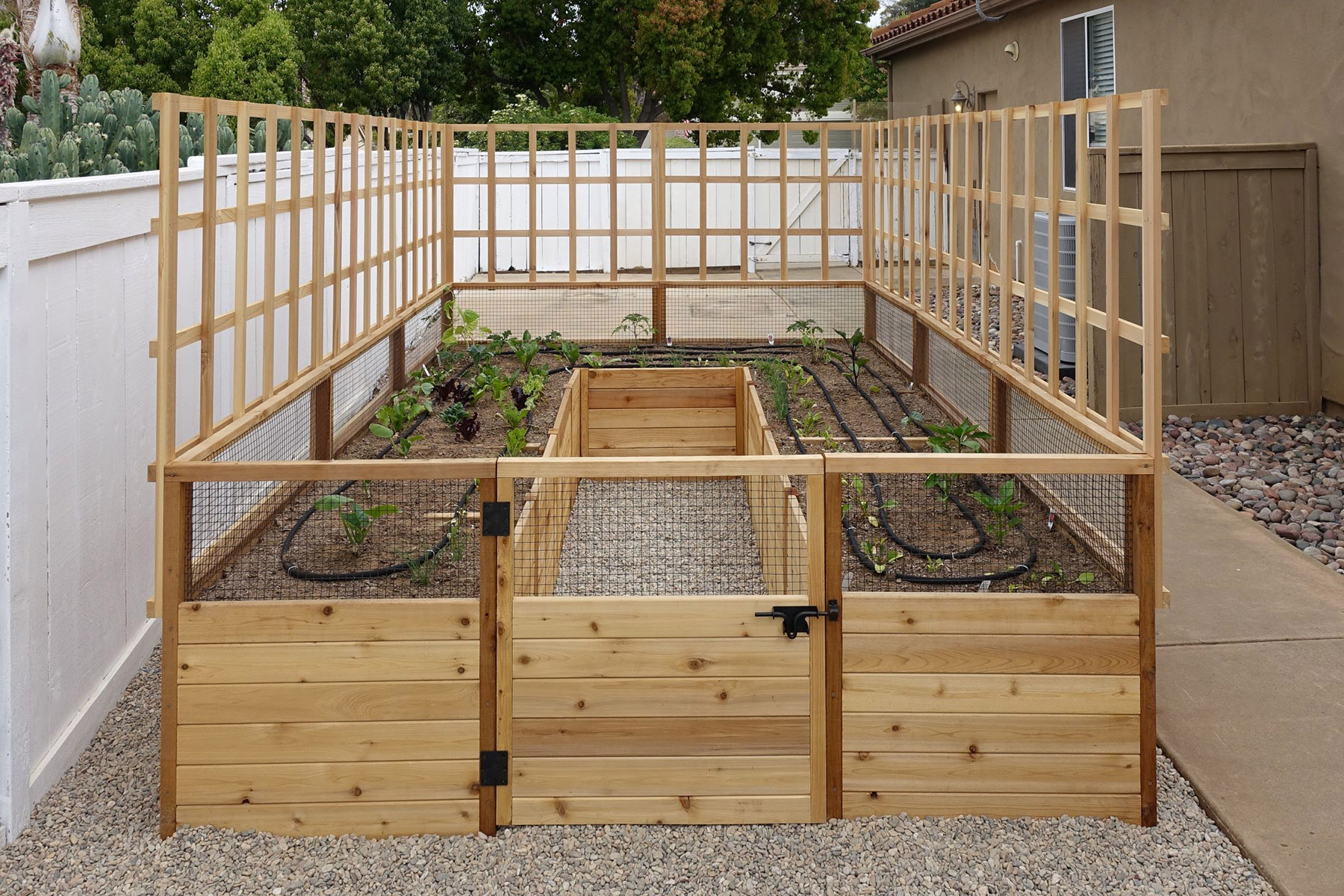 Cedar Raised Garden Bed 8x12