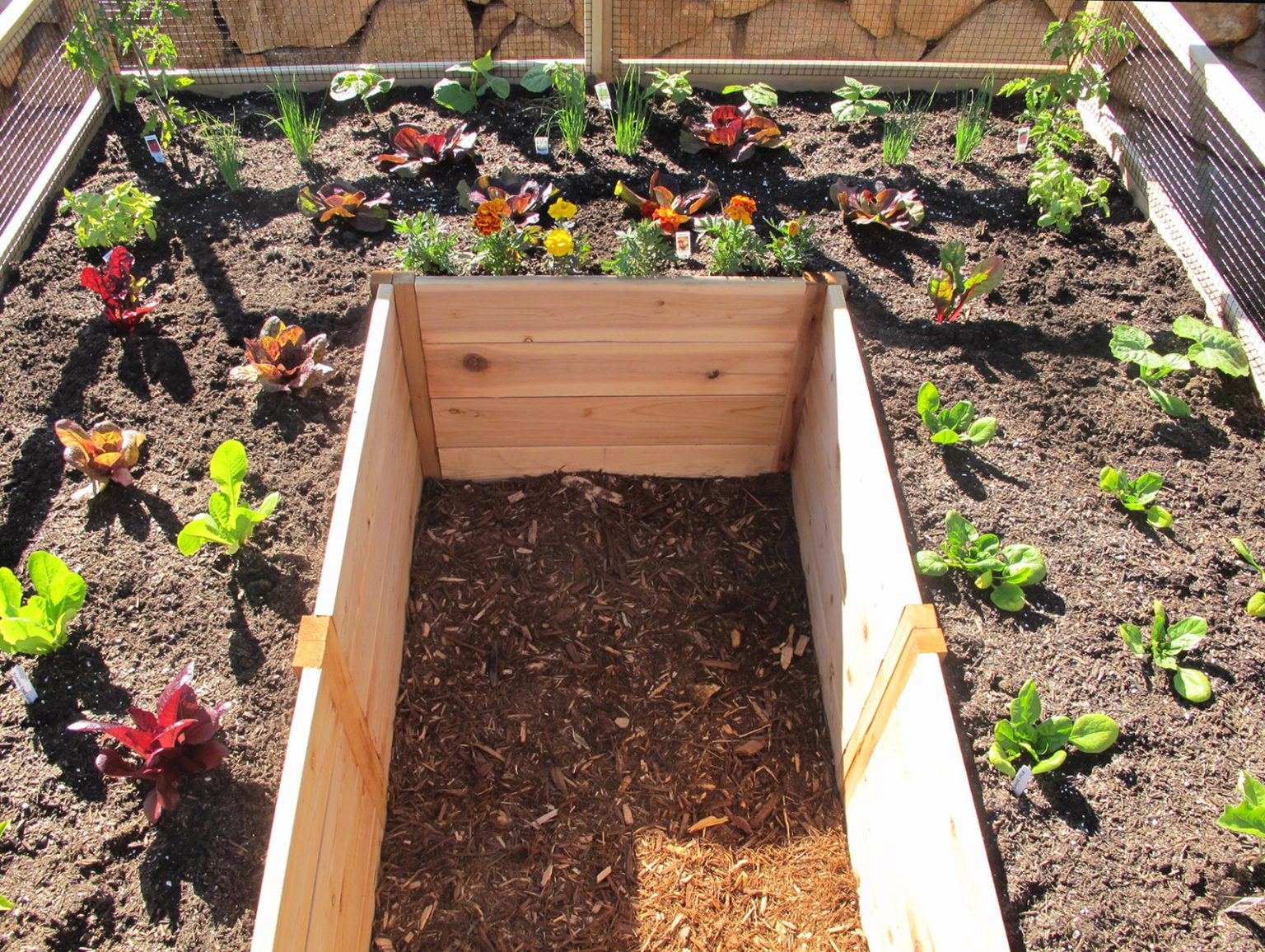 8’x8′ Complete Vegetable Garden Kit Gardens To Gro