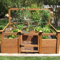8'x8′ Just-Add-Lumber Vegetable Garden Kit – Gardens To Gro