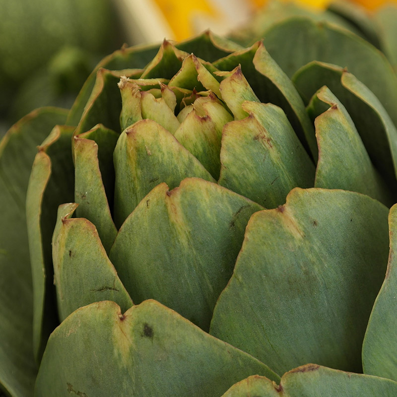 Artichokes with Light Lemon Dipping Sauce Recipe