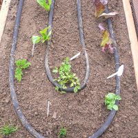 12'x8' Complete Vegetable Garden Kit - Deer Proof - Image 5