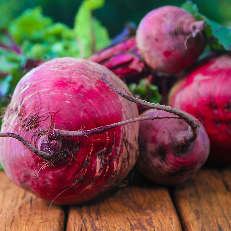 Apple Stuffed Pita with Beets Recipe