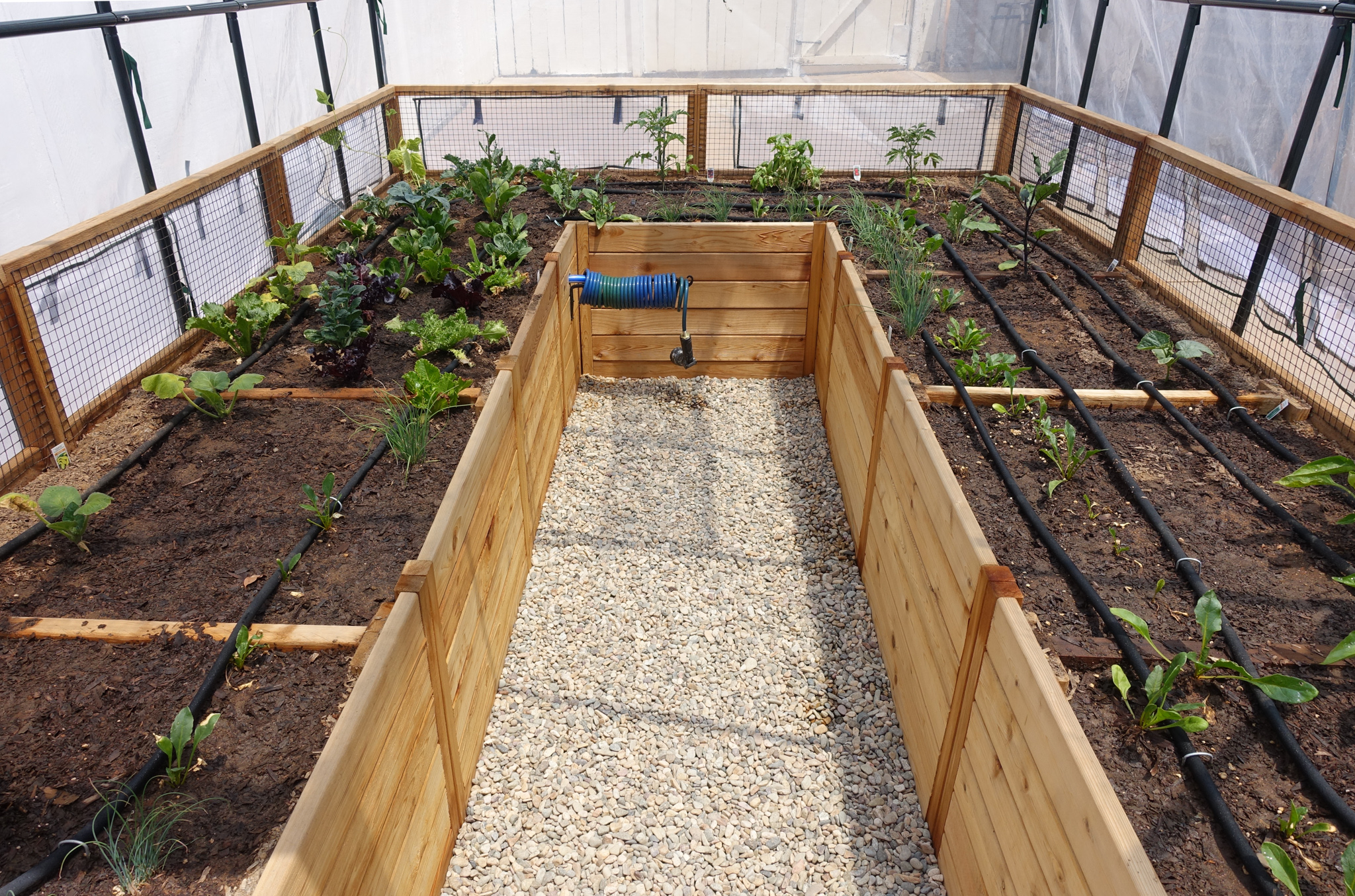 https://www.gardenstogro.com/wp-content/uploads/2022/02/8x12-greenhouse-vegetable-garden-interior.jpg
