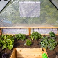 8'x8' Vegetable Garden Kit with Greenhouse - Image 4