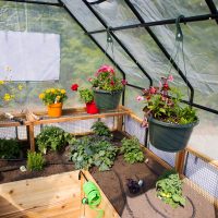 8'x8' Vegetable Garden Kit with Greenhouse - Image 5